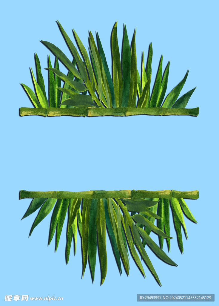 手绘竹子