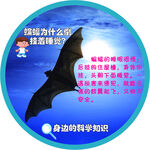 十万个为什么