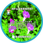 十万个为什么