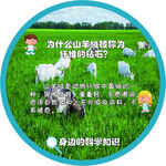 十万个为什么