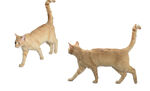 猫素材