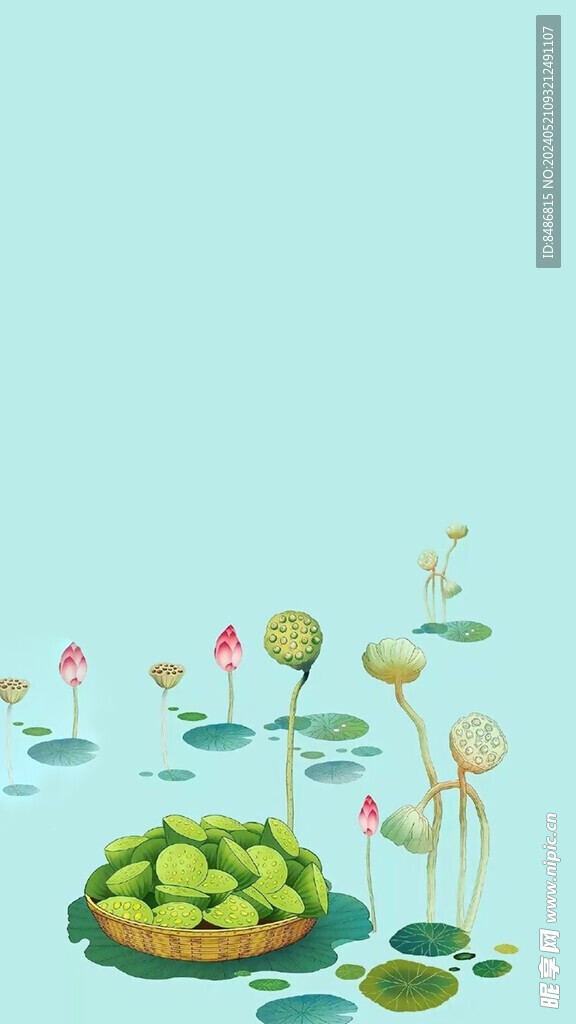 荷花背景