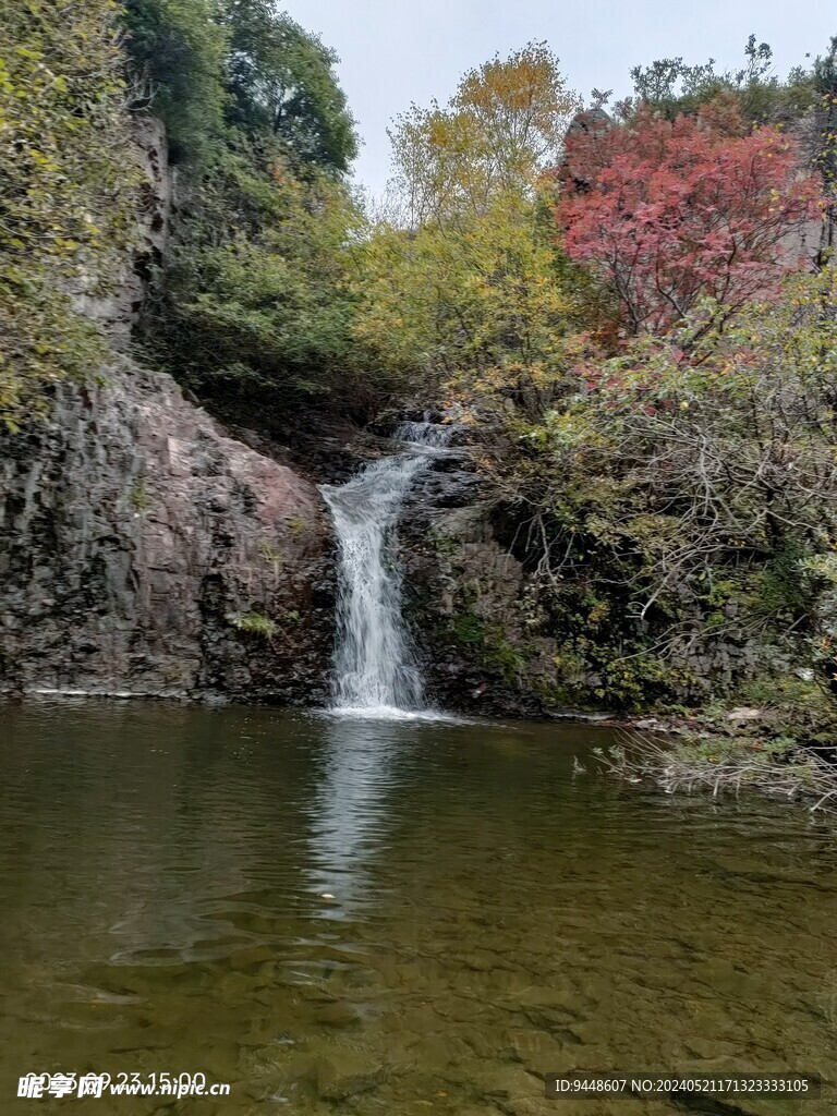 秋景图