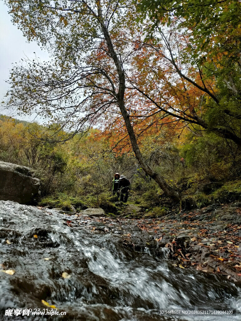 秋景图