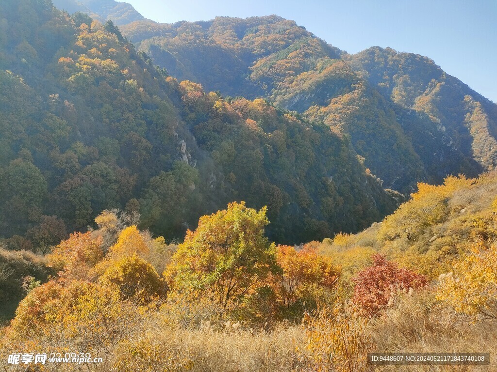 秋景图