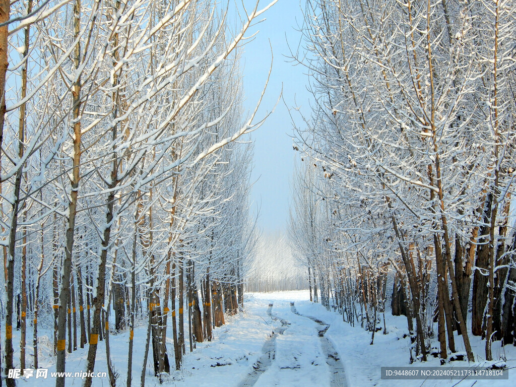 雪景