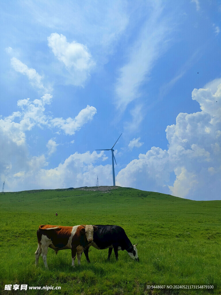 草原风景