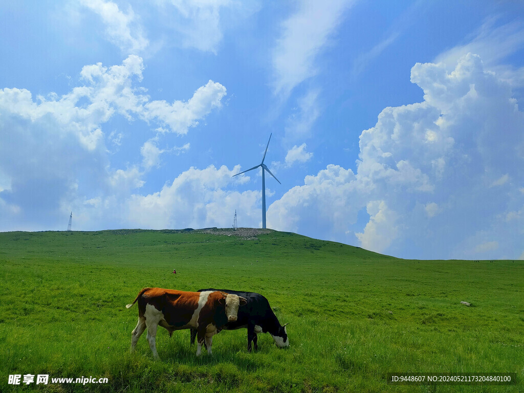 草原风景