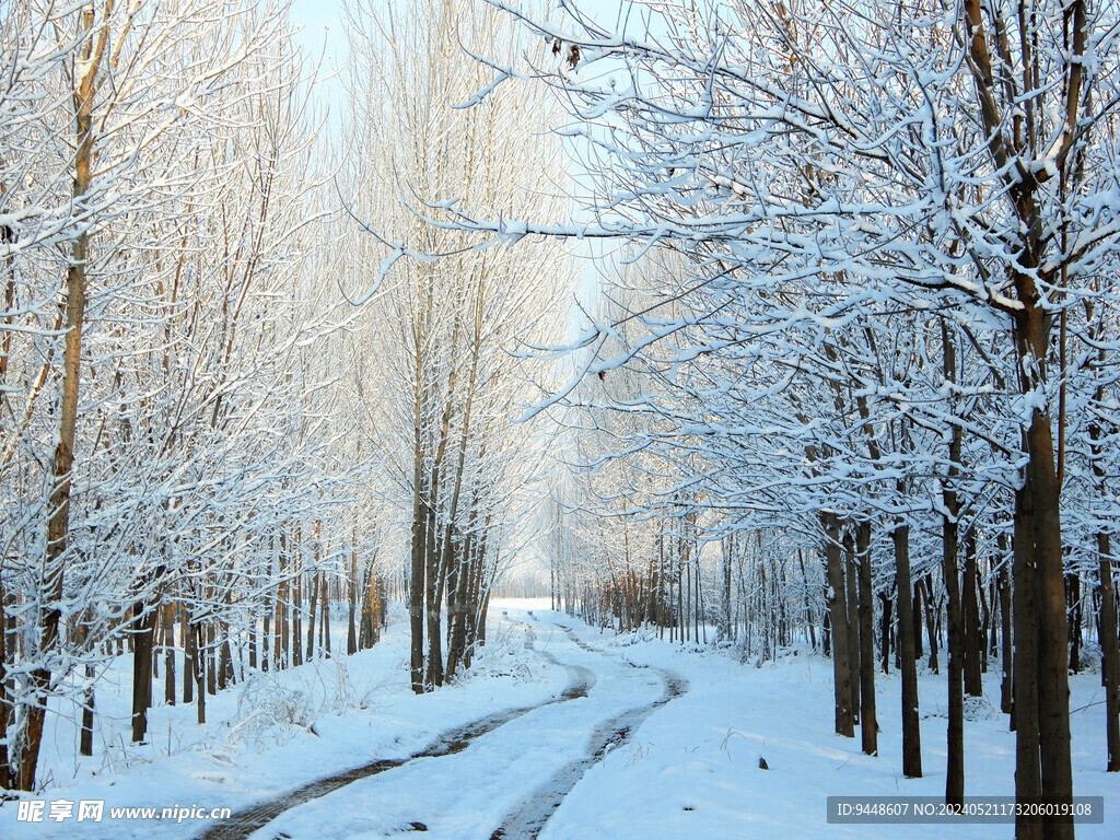 雪景