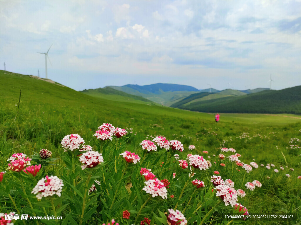 草原风景
