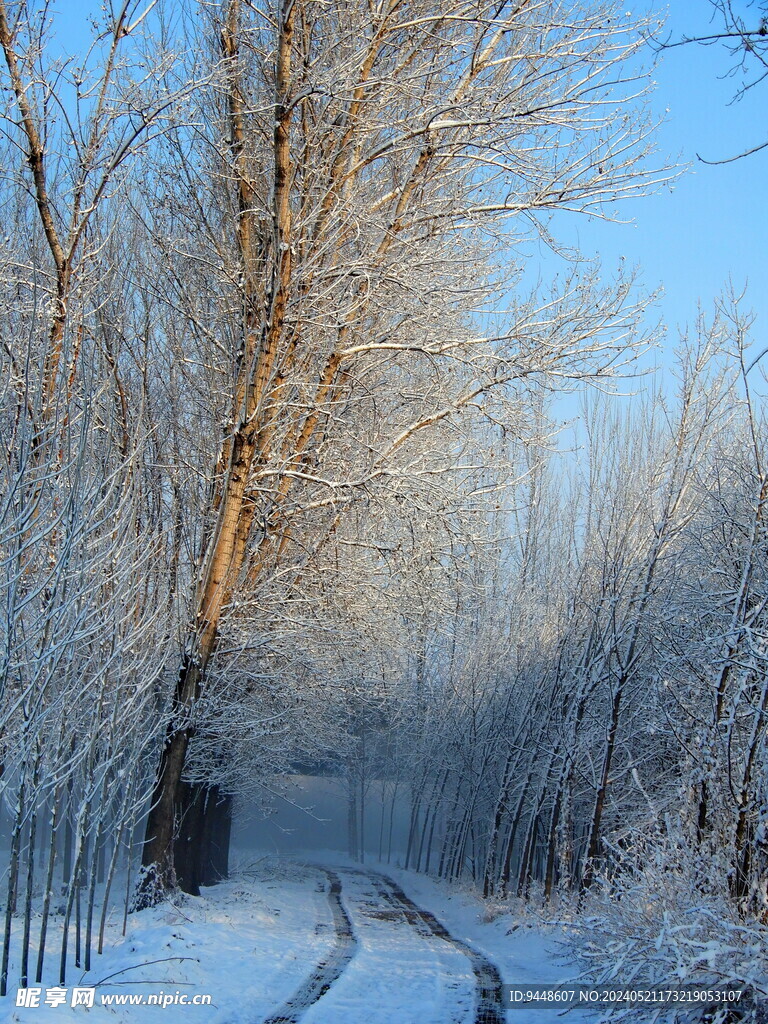 雪景