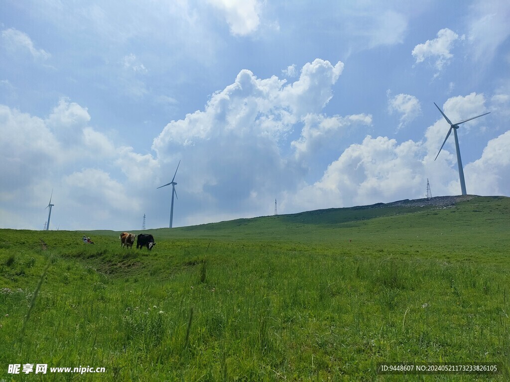 草原风景