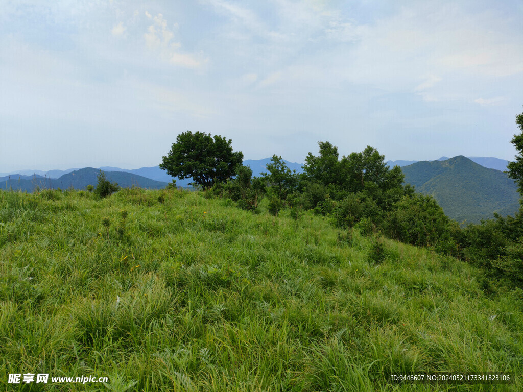 草原风景