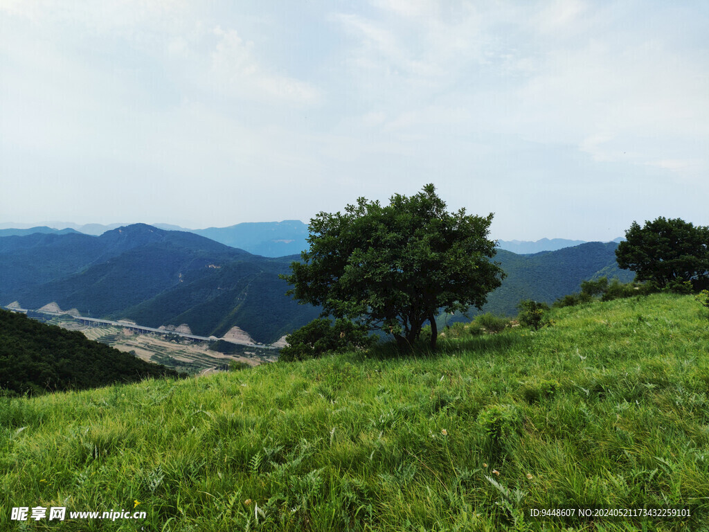 草原风景