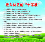 进入林区的十不准