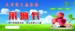 采摘卡