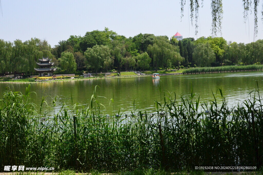 公园风景 