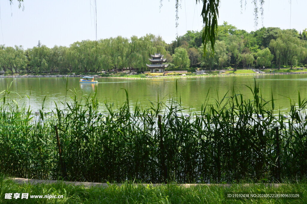 公园风景 
