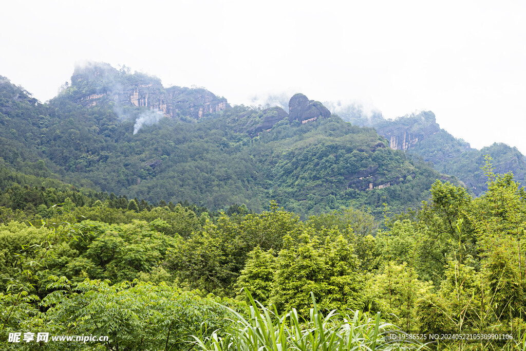 山景