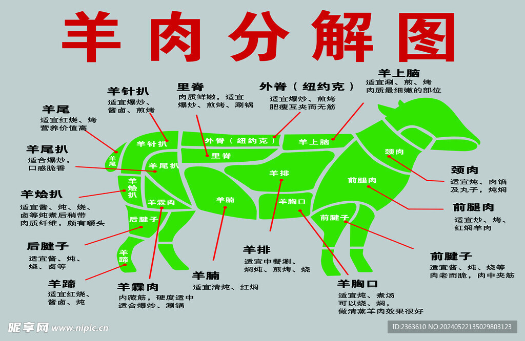 羊肉分解图