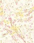 大牌  小清新   碎花  