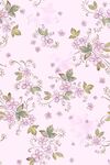 大牌  小清新   碎花  