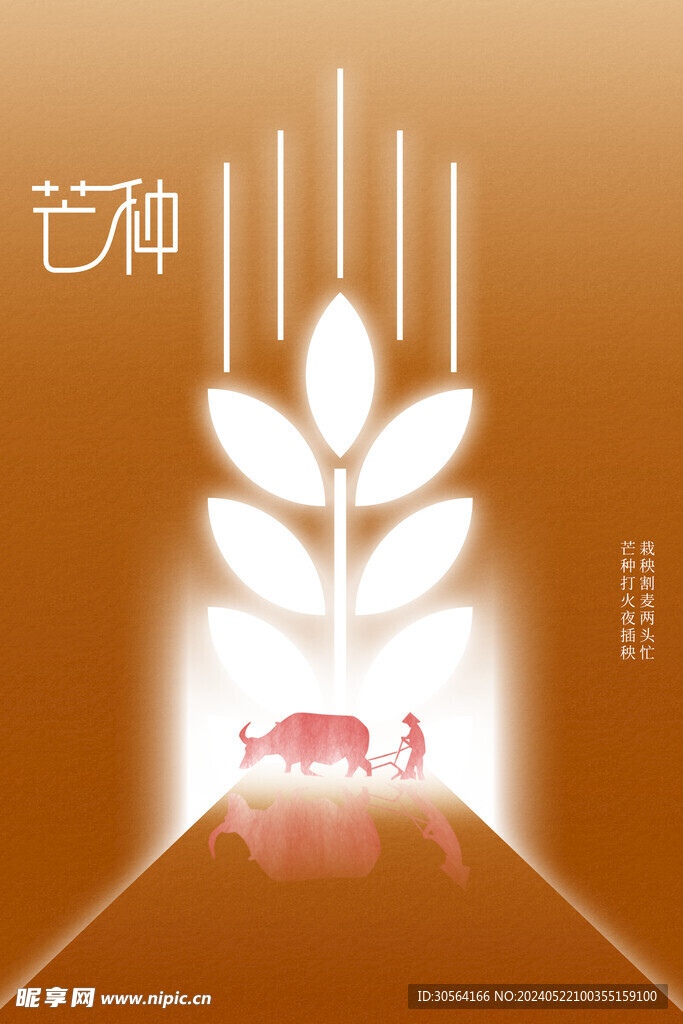 芒种