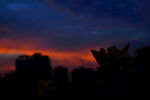 城市夕阳