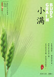 小满节气海报