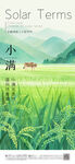 小满 节气海报