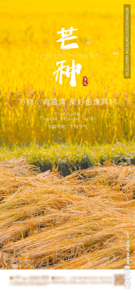 芒种 节气海报
