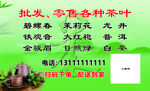茶叶 名片不干胶