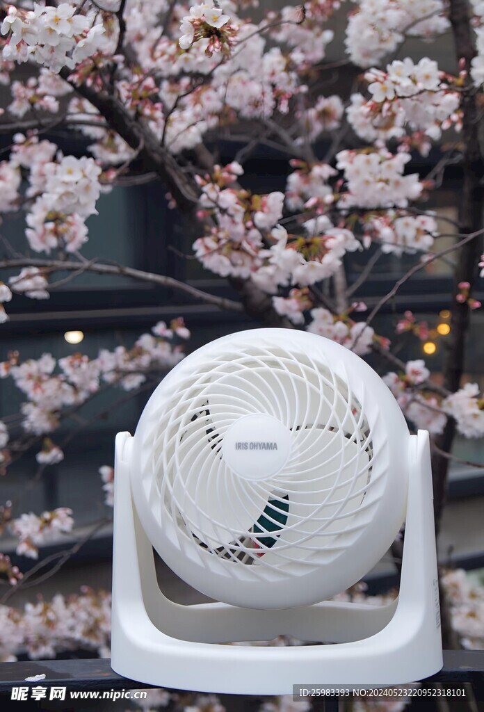 电风扇