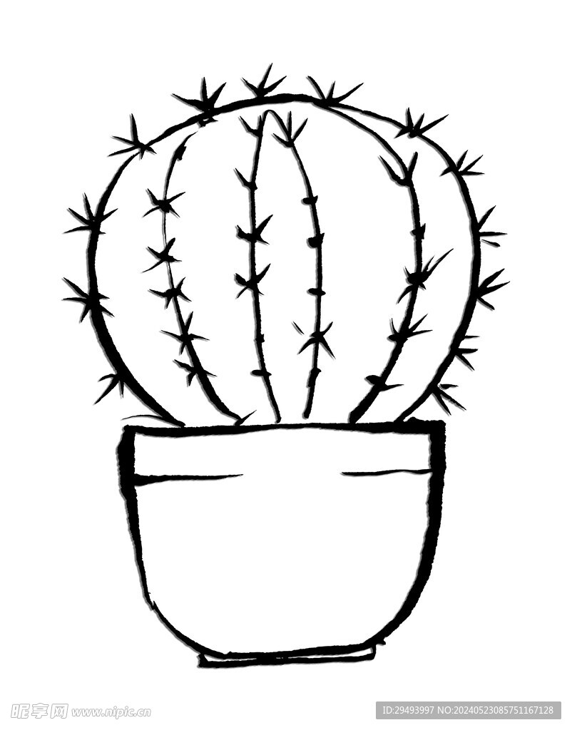 手绘仙人掌
