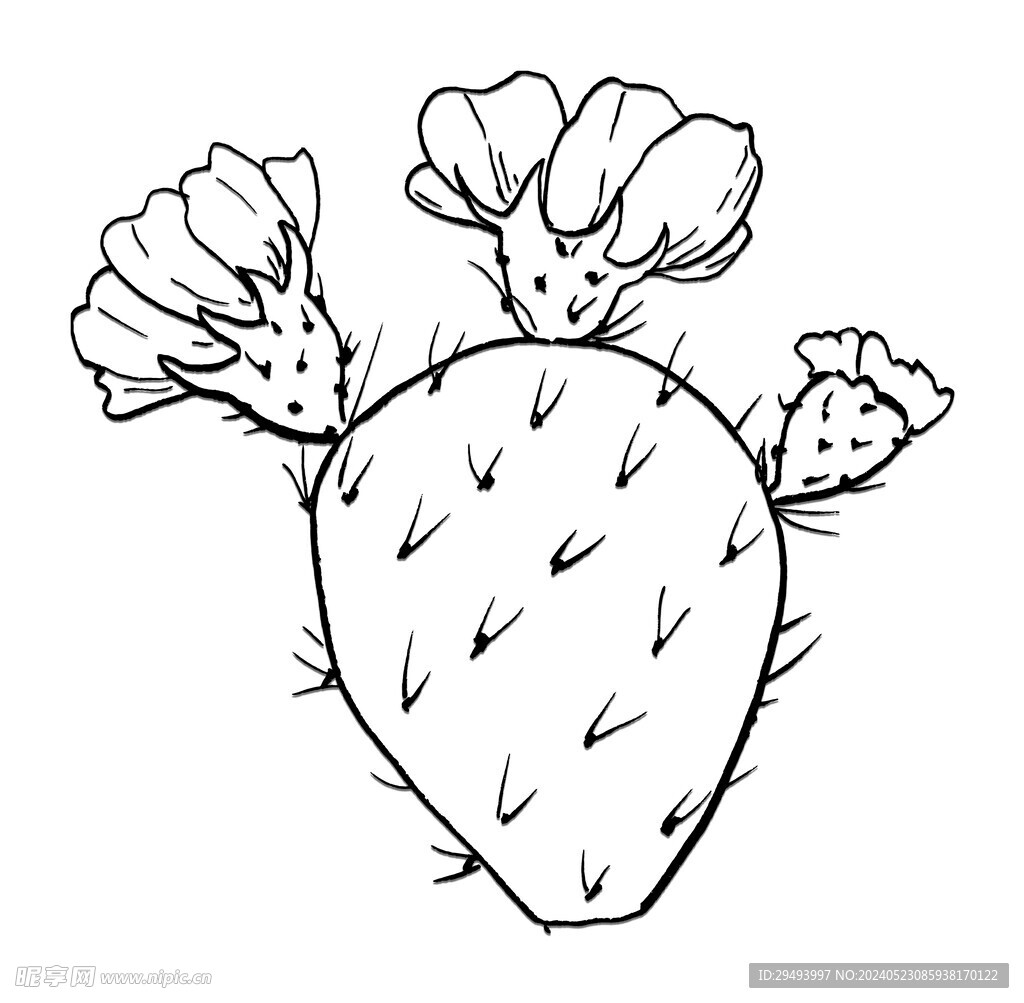 手绘仙人掌