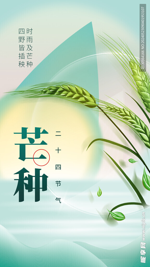 芒种