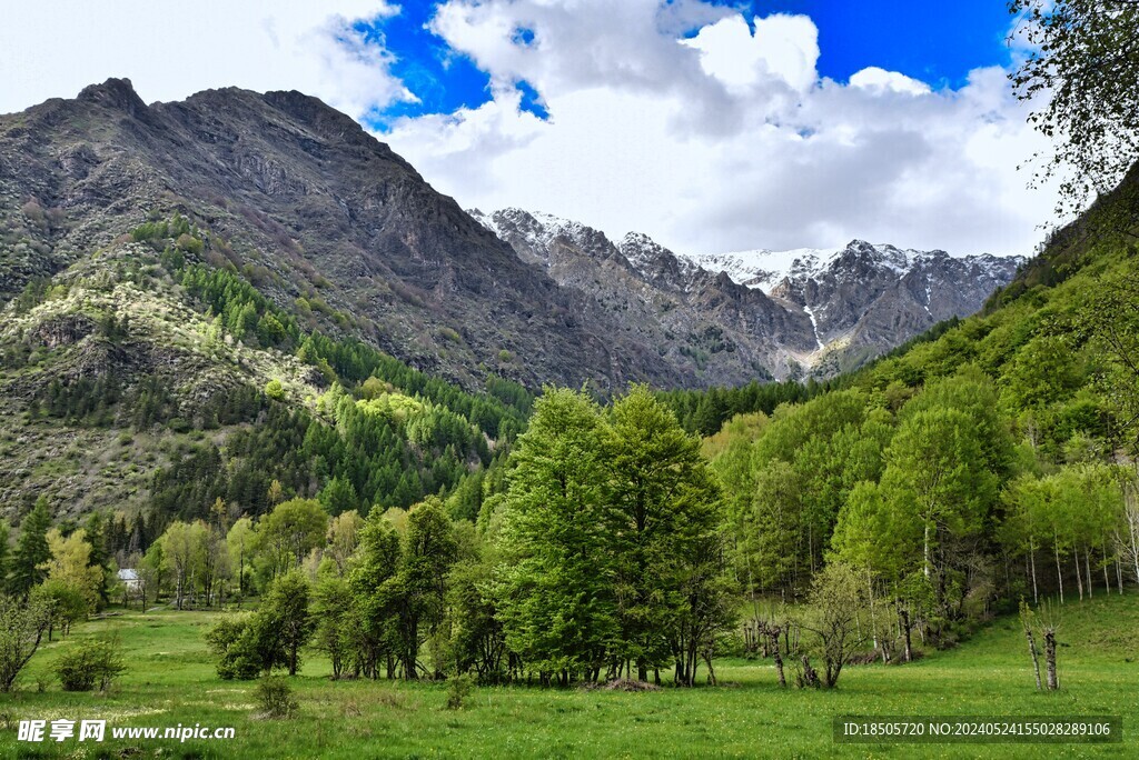  阿尔卑斯山