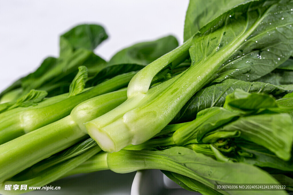 菜心特写