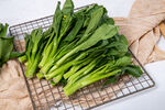 菜心苗