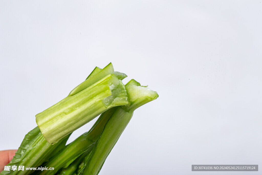 水嫩菜心