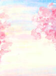 粉色樱花天空背景