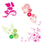 花纹