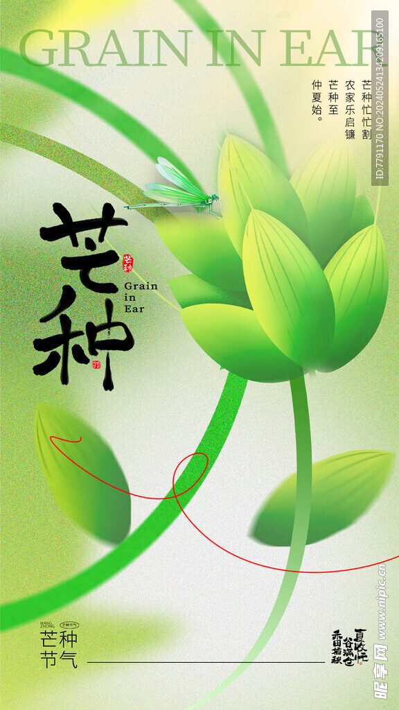 芒种
