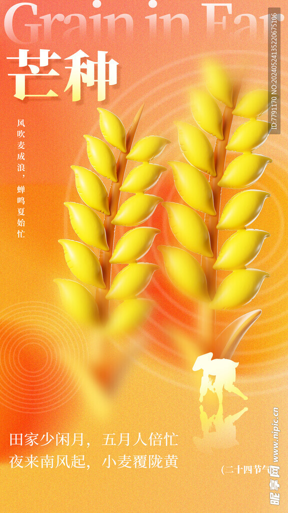 芒种
