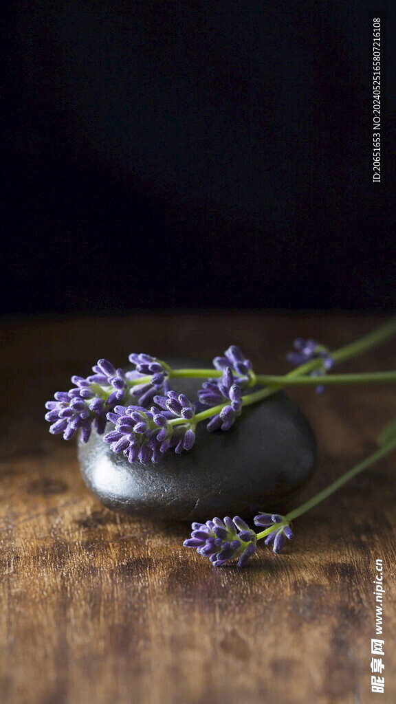 薰衣草