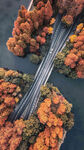 世界最美水上公路
