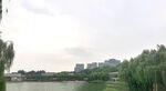 曲江池公园