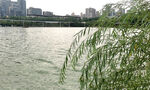 曲江池公园