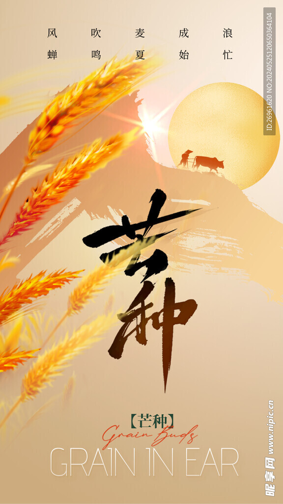 芒种