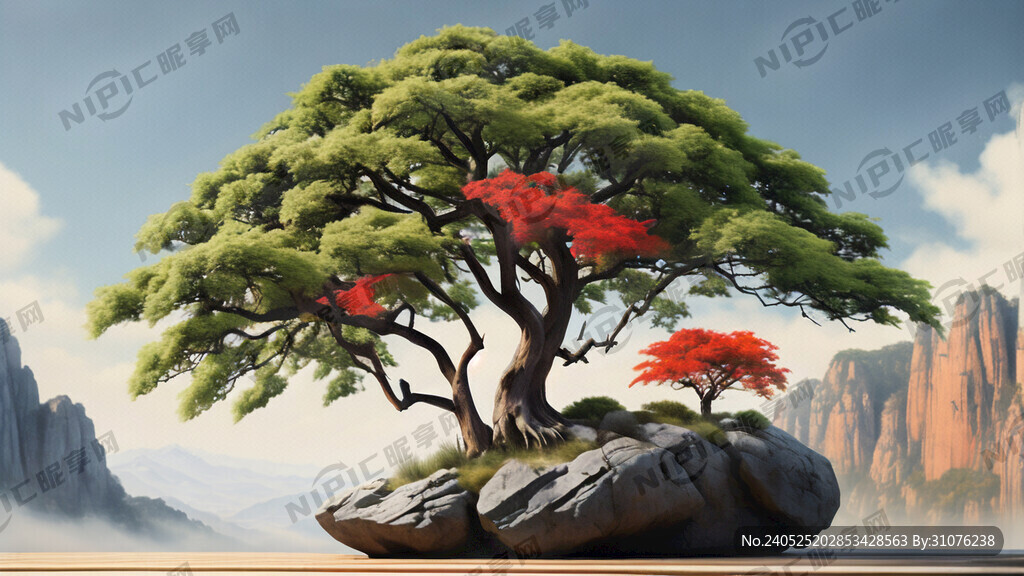 在同一块岩石山中夹缝中茁壮生长
